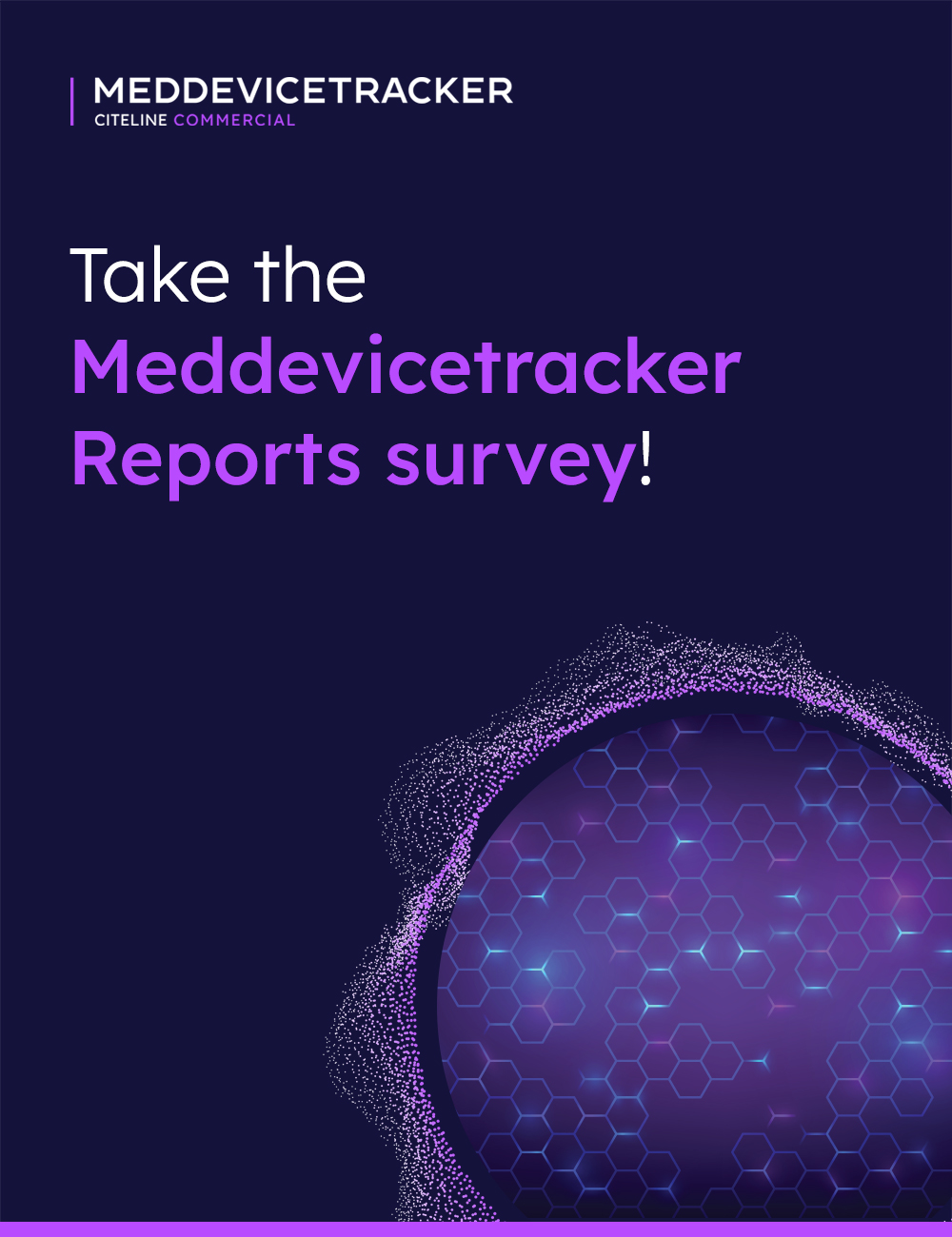 2024 MDT Reports Survey